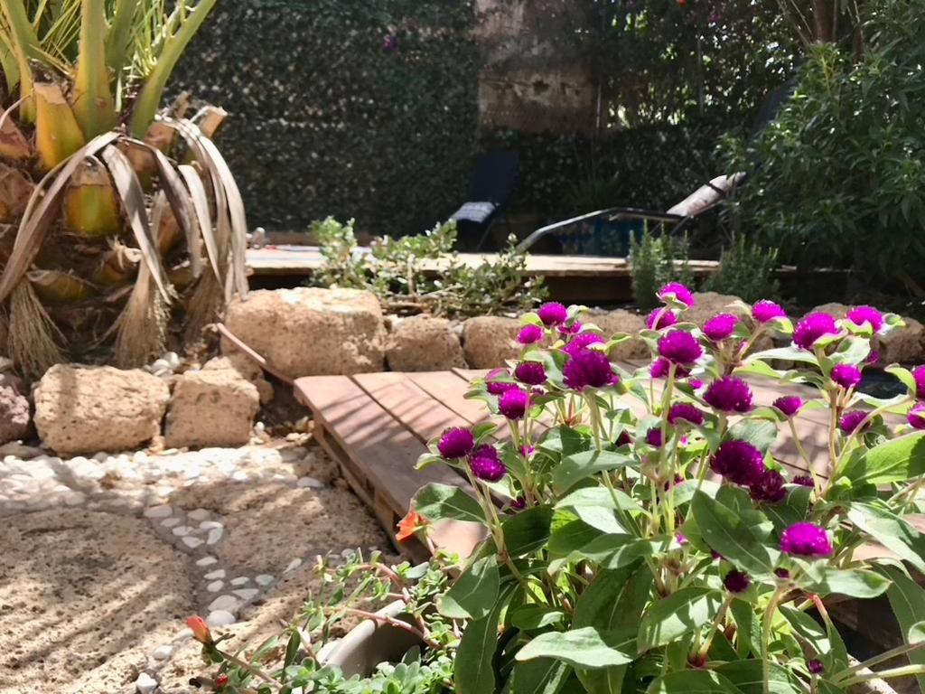 Casa Vivaqi Tenerife กรานาดิลญา เด อาโบนา ภายนอก รูปภาพ
